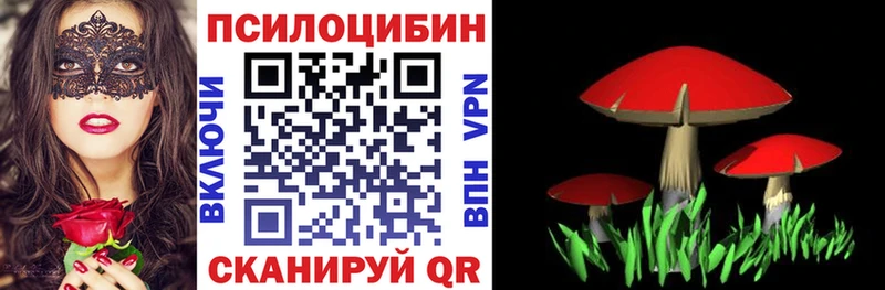 купить наркотик Яблоновский Галлюциногенные грибы прущие грибы